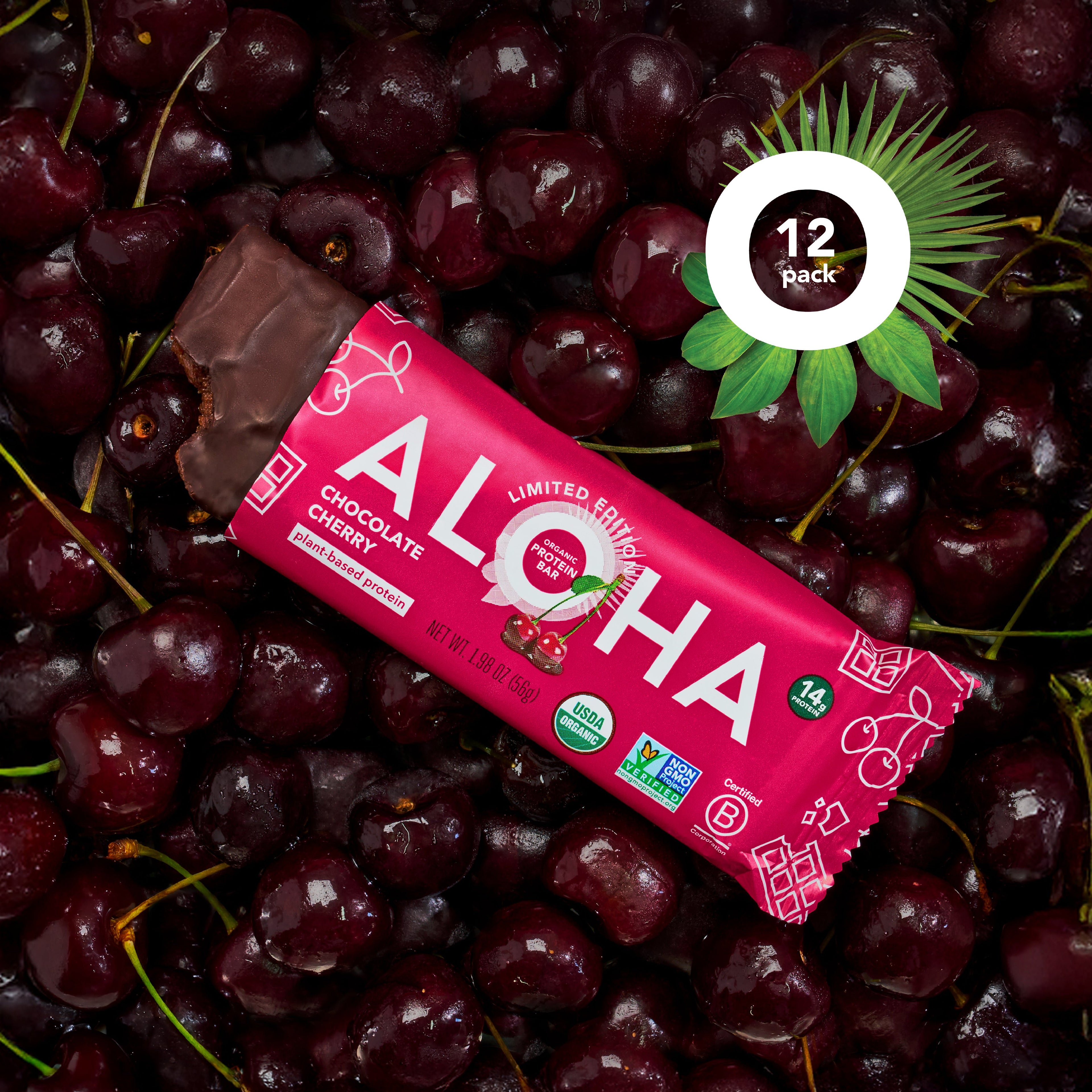 Chocolate Cherry - Protein Bars (Out of Stock)