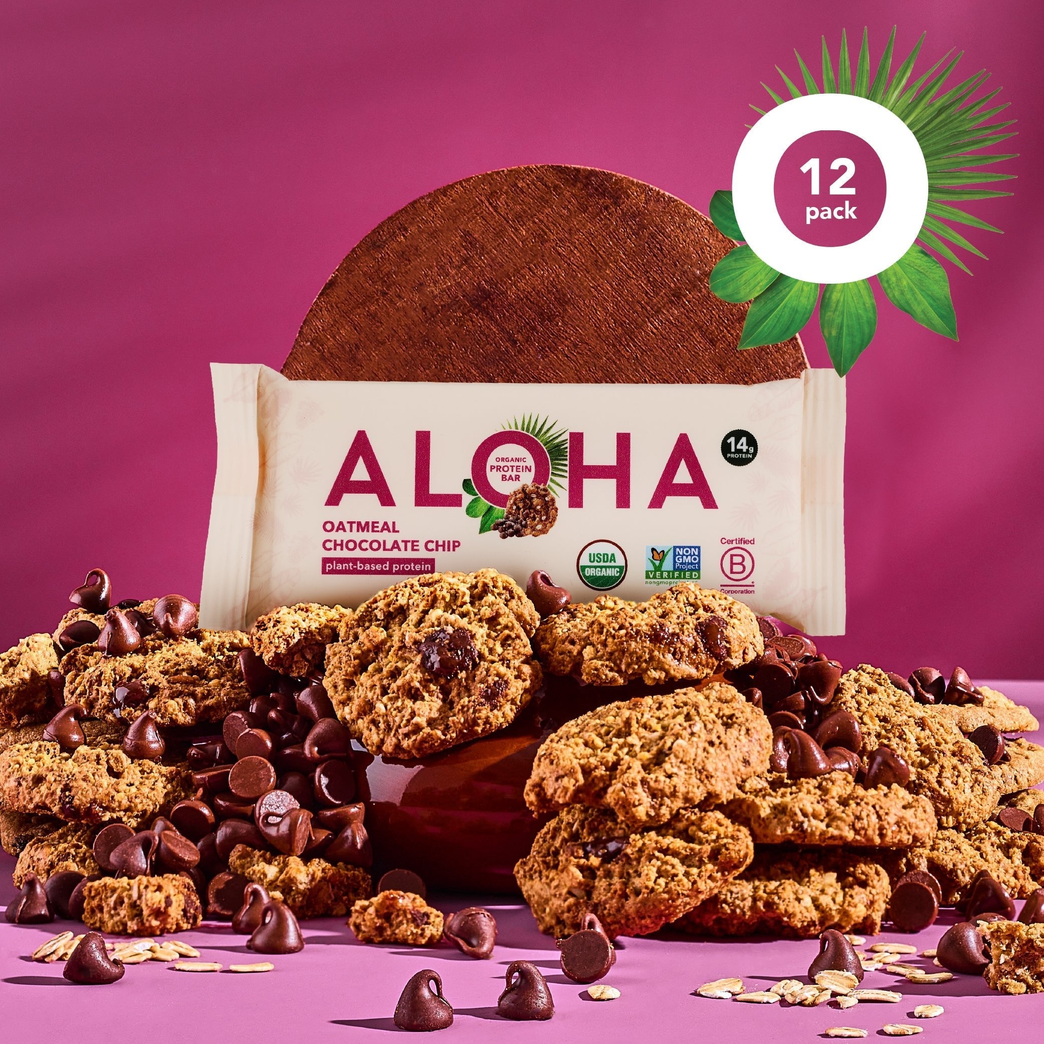 Oatmeal Chocolate Chip - Protein Bars (CAD)