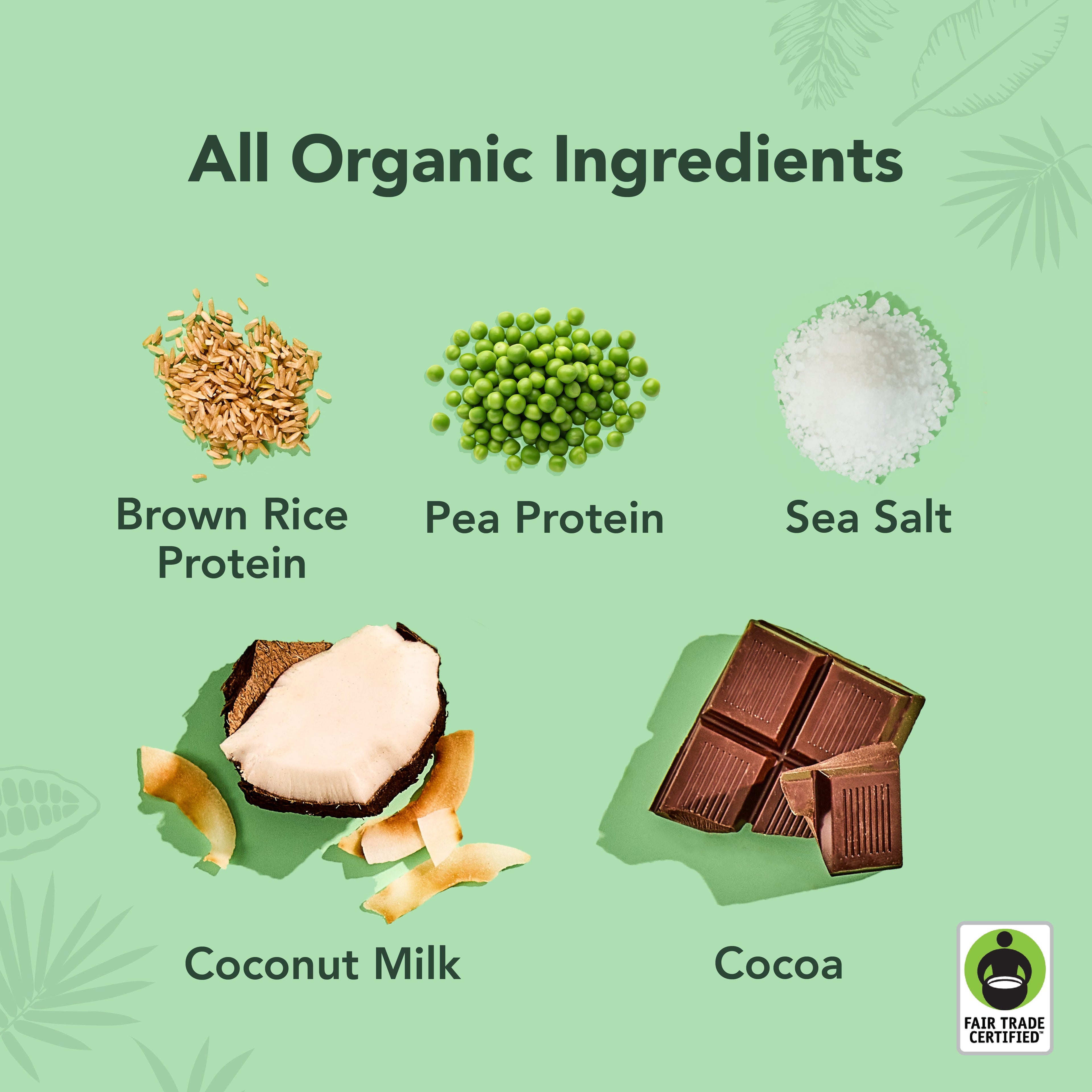 Chocolate Sea Salt - Protein Drinks