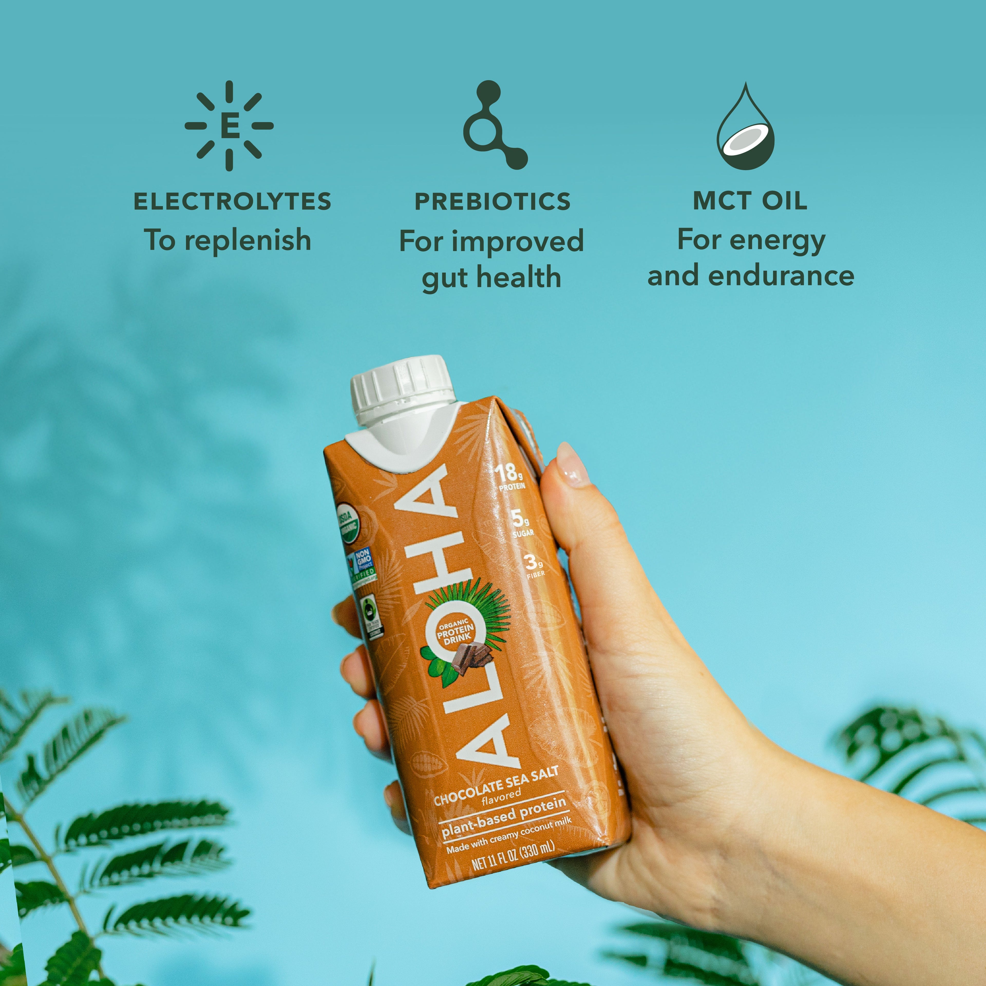 Chocolate Sea Salt - Protein Drinks